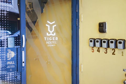 Tiger Hostel Sydney - Whitsundays Accommodation 4