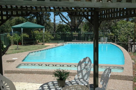 The Tree Motel - Whitsundays Accommodation 5