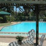 The Tree Motel - Whitsundays Accommodation 0