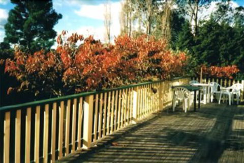 Heronswood House B & B - Whitsundays Accommodation 7