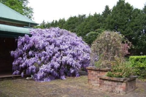 Heronswood House B & B - Whitsundays Accommodation 2