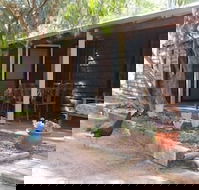 Kerriley Park Farm Stay - Whitsundays Accommodation