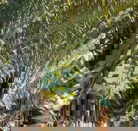 The Miners Rest Motel - Whitsundays Accommodation