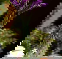 At Eleven - Whitsundays Accommodation