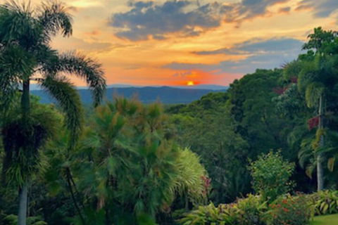 Daintree Manor Bed & Breakfast - Whitsundays Accommodation 0