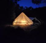 Glamping at Zeehan Bush Camp - Whitsundays Accommodation