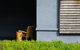 Bowral Boutique Motel - thumb 1
