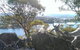 Horizons Resort 406 - thumb 3