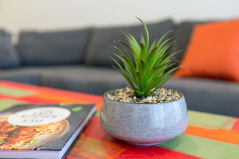 Urban Jungle In The Heart Of The CBD - Whitsundays Accommodation 1