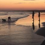 Cromarty Cottage 900m From Birubi Beach - Whitsundays Accommodation 0