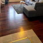 Honey At KI - Whitsundays Accommodation 0