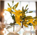 KUI Manhattan Apartments - Whitsundays Accommodation