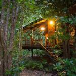 Wildwood - Whitsundays Accommodation 0