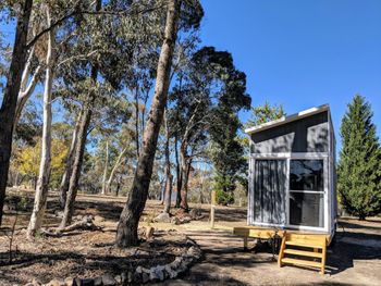 Big Tiny The Whispers - Whitsundays Accommodation 2