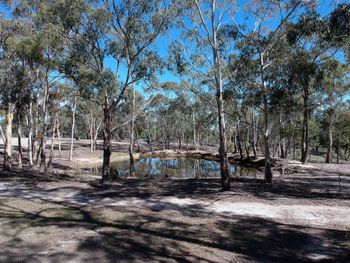 Big Tiny The Whispers - Whitsundays Accommodation 3