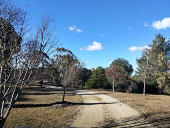 Big Tiny The Whispers - Whitsundays Accommodation 5
