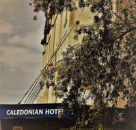 Caledonian Hotel - Whitsundays Accommodation