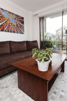Potts Point Springfield Avenue (I) - Whitsundays Accommodation 1