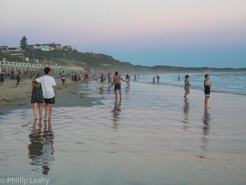 Alices Palace 2 Minute Walk To Lifeguard Patrolled Surf Beach - Whitsundays Accommodation 4