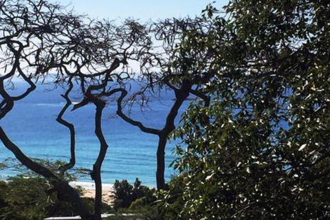 At Cylinder Unit 3 - Whitsundays Accommodation 5