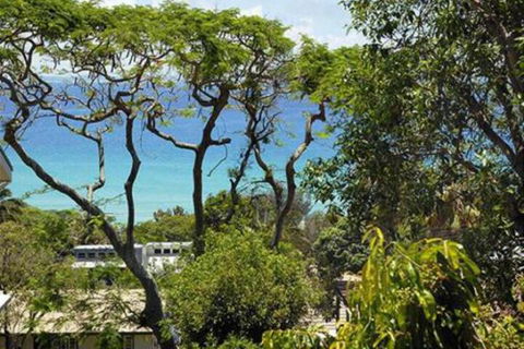 At Cylinder Unit 3 - Whitsundays Accommodation 6