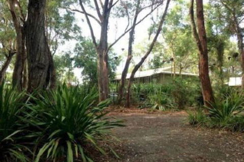 Port Stephens Koala Sanctuary - Whitsundays Accommodation 2