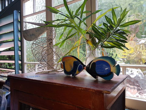 Lilybank Guest House - Whitsundays Accommodation 3