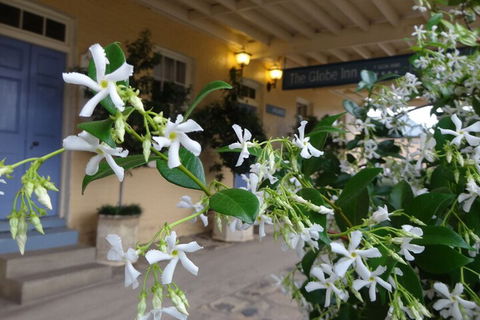 The Globe Inn - Whitsundays Accommodation 2