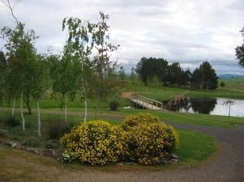 Buttercup Cottage & Private Apartment - Whitsundays Accommodation 3
