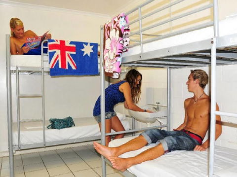 Flying Monkey Backpackers - Whitsundays Accommodation 0