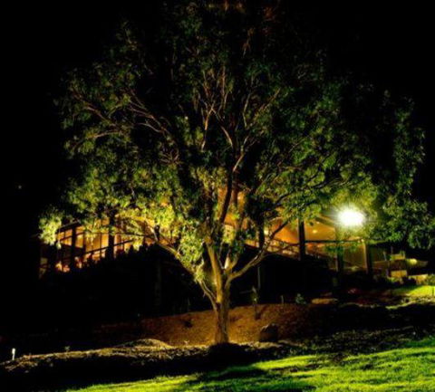 Oceanview Estate Vineyard Cottages - Whitsundays Accommodation 4