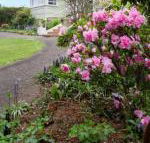 Anabels of Scottsdale - Whitsundays Accommodation