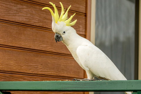 BIG4 Moruya Heads Easts Dolphin Beach Holiday Park - Whitsundays Accommodation 3