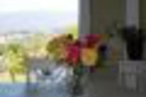 Eagles View Bed & Breakfast - Whitsundays Accommodation 6