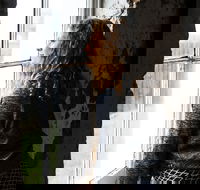 Cape Otway Lightstation - Whitsundays Accommodation