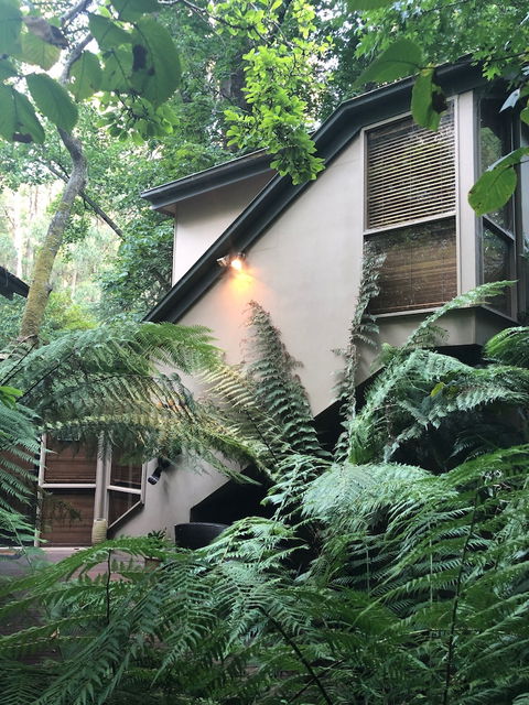 Linden Gardens Rainforest Retreat - Whitsundays Accommodation 2