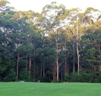 Tinglewood Cabins - Whitsundays Accommodation
