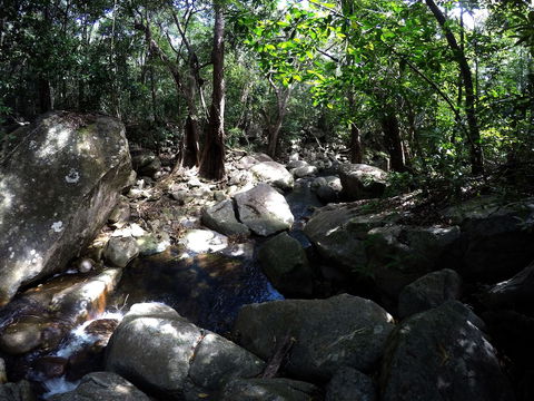 Mungumby Lodge - Cooktown - Whitsundays Accommodation 2