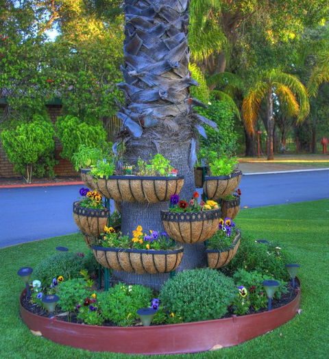 Mandurah Caravan & Tourist Park - Whitsundays Accommodation 4