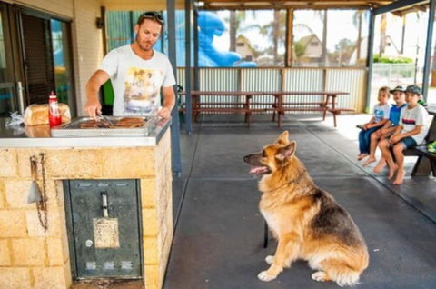 Discovery Parks â€“ Bunbury Village - Whitsundays Accommodation 2