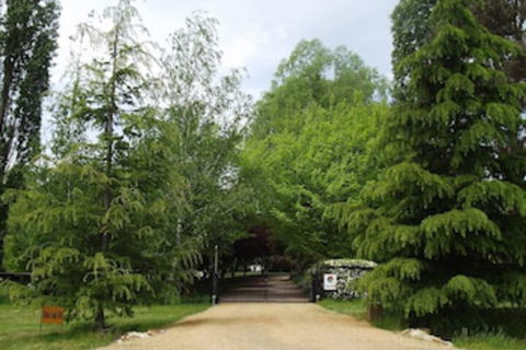 Ophir Gold Bed & Breakfast - Whitsundays Accommodation 0