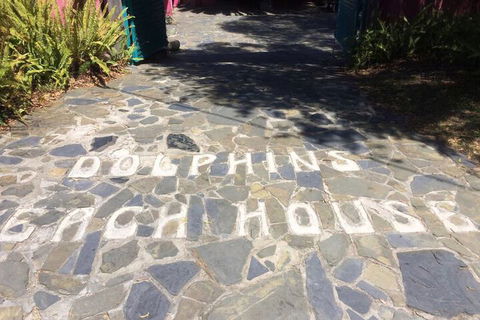 Dolphins Beach House - Whitsundays Accommodation 1