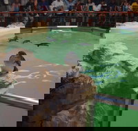 Anchorage Guest House - Whitsundays Accommodation