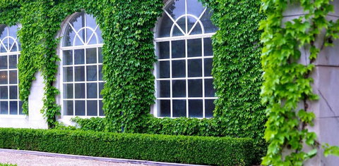 Milton Park Country House Hotel & Spa - Whitsundays Accommodation 0