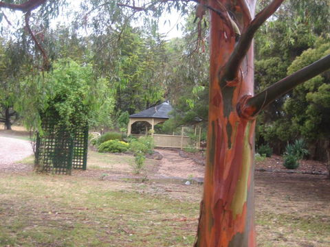 Golden Hills Motel - Whitsundays Accommodation 6
