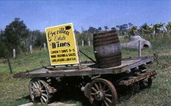 Bega Village Motor Inn - Whitsundays Accommodation 0