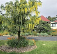 Hamlet Downs Country Accommodation - Whitsundays Accommodation