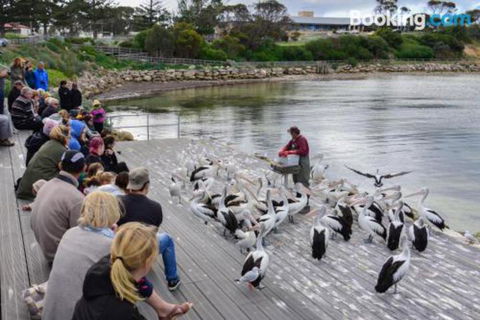 Edgewater Escape - Whitsundays Accommodation 3