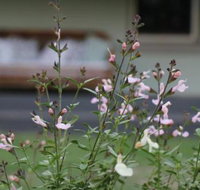 Serendipity on Allyn - Whitsundays Accommodation