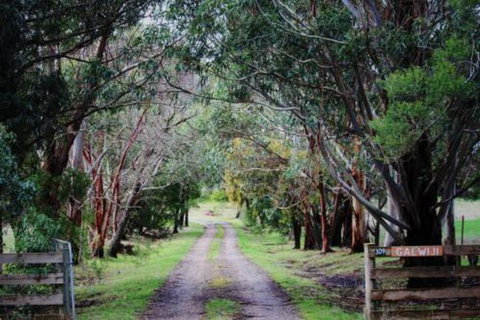 Galwiji Homestead - Whitsundays Accommodation 7